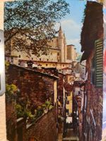 Ansichtskarte Urbino Italien