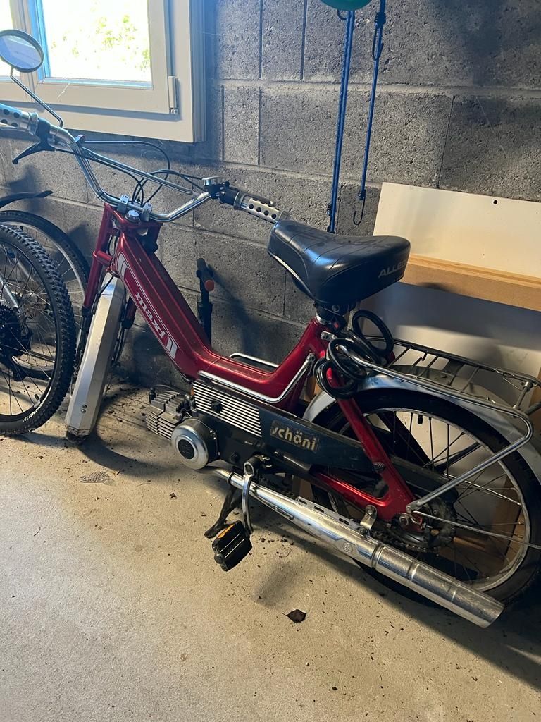 Strada: Velomoteur Puch Maxi – Usato da Domdidier venduto da wderossi 1