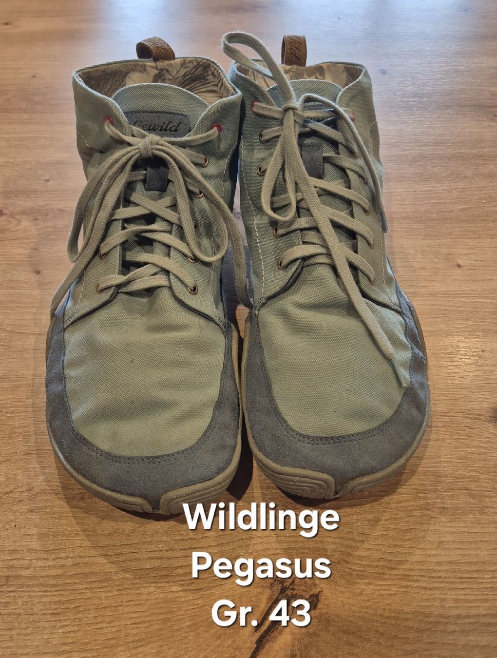 Wildling Chaussures hommes: Wildlinge Pegasus Gr. 43 Barfussschuhe – Neuf (Voir description) à Oberfrittenbach par Steffi1807