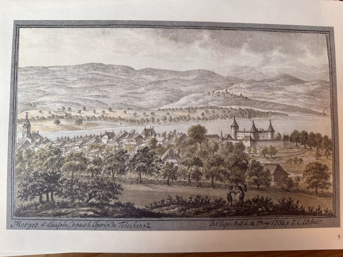 Foto & Immagini: Escher-Zeichnungen – Usato da Berschis venduto da Vild1 6