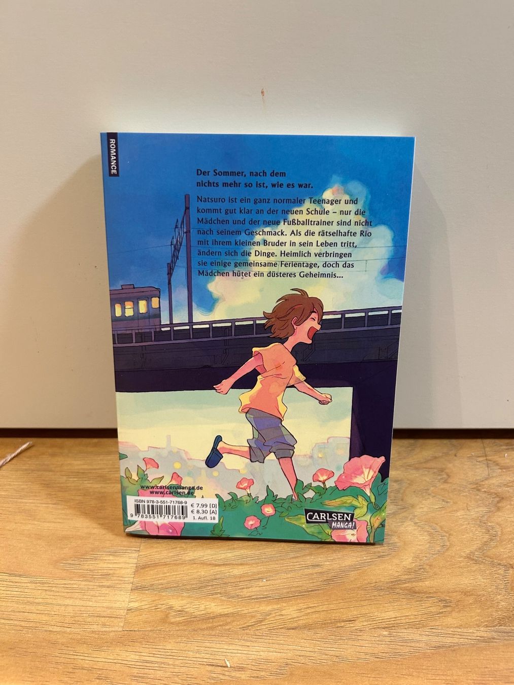 Comics: Our summer Holiday Manga – Gebraucht aus Bremgarten AG von anh_99st 1