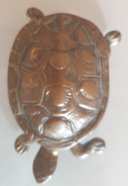vintage-schildkr-te-bronze-dose-schwer-gebraucht-in-z-rich-f-r-chf-25