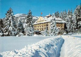 GRUSS aus GSTAAD - alte BERNER Ansichtskarte