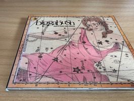 Biggabush – Bigga Bush Free - Promo