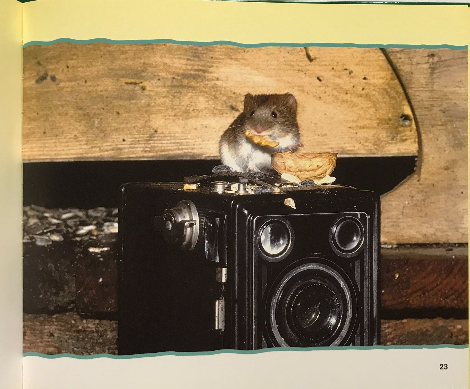 Libri: Klaus, die schlaue Maus – Nuovo e nell'imballaggio originale da Sarnen venduto da Livres 3