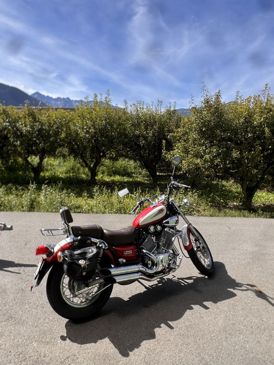 Yamaha Altro: Yamaha 535 Virago – Usato da Fully venduto da rap_2pwr 1