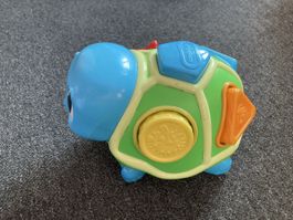 Fahrende Schildkröte
