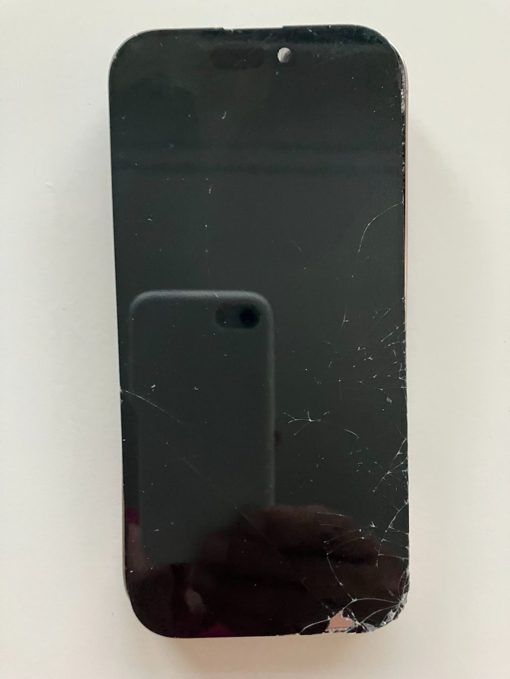 Apple Telefoni cellulari / Smartphones: iPhone 16 Pro / DEFEKT – Difettoso da Meisterschwanden venduto da Discus0 1