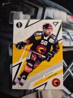 Romain Loeffel SC Bern Playoffs 2025/26 Sportzoo