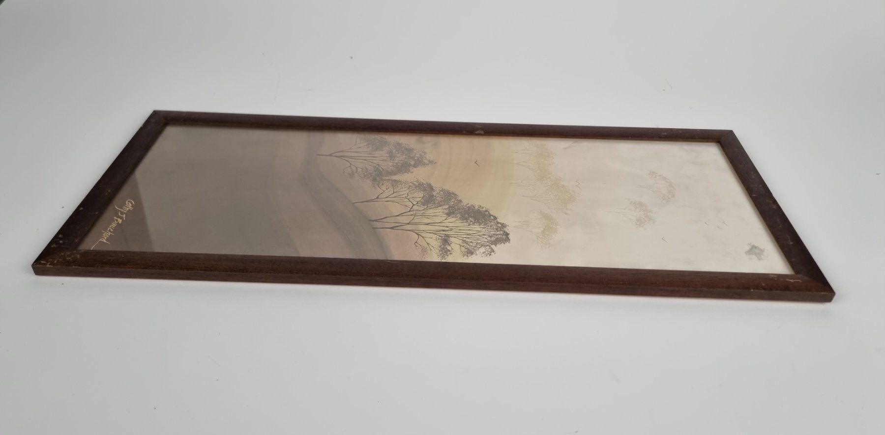 Poster & Bilder: Wandbild "Wüste" – Gebraucht aus Urtenen-Schönbühl von Restwert_Schoenbuehl 2