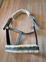 Halfter COB neuwertig