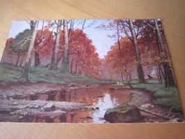 No15 Antike Postkarte Müller Kurzwelley HERBSGOLD NUR 50 RP