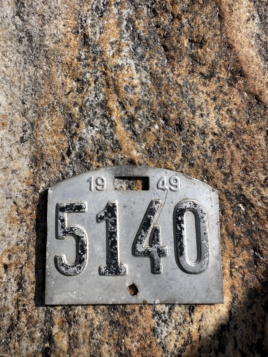 Schilder: Velonummer 1949 ab 33.-! – Gebraucht aus Starrkirch-Wil von charlywatson