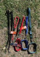 Hundegurten und Halsbänder Excellence Diverses7 Stück, neu