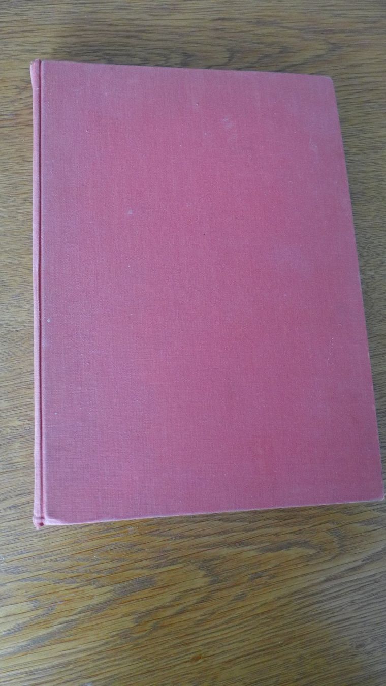 Libri: Die Schweiz aus dem Flugzeug – Usato da Basel venduto da Helmuth1945 1