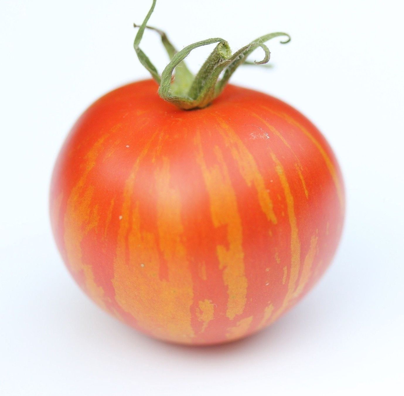 Piante & sementi: Tomate Tigerella  10g – Nuovo (secondo la descrizione) da Bremblens venduto da FIBONACCI369 1