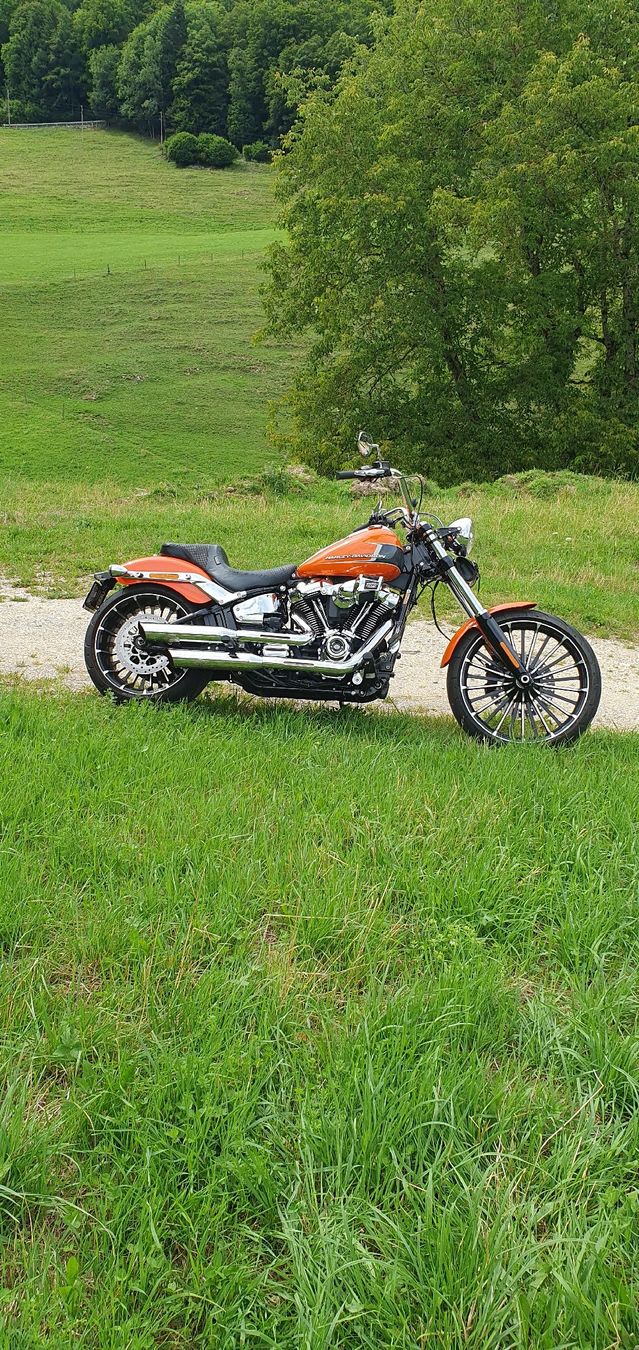 Harley-Davidson Chopper: Harley-Davidson Breakout 117 – Gebraucht aus Seewen SO von DealornoDeal 3