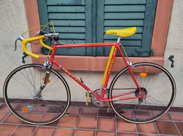 Neues Vintage Rennvelo 'Jeunet' ca. 1980, Rahmen Grösse 61cm