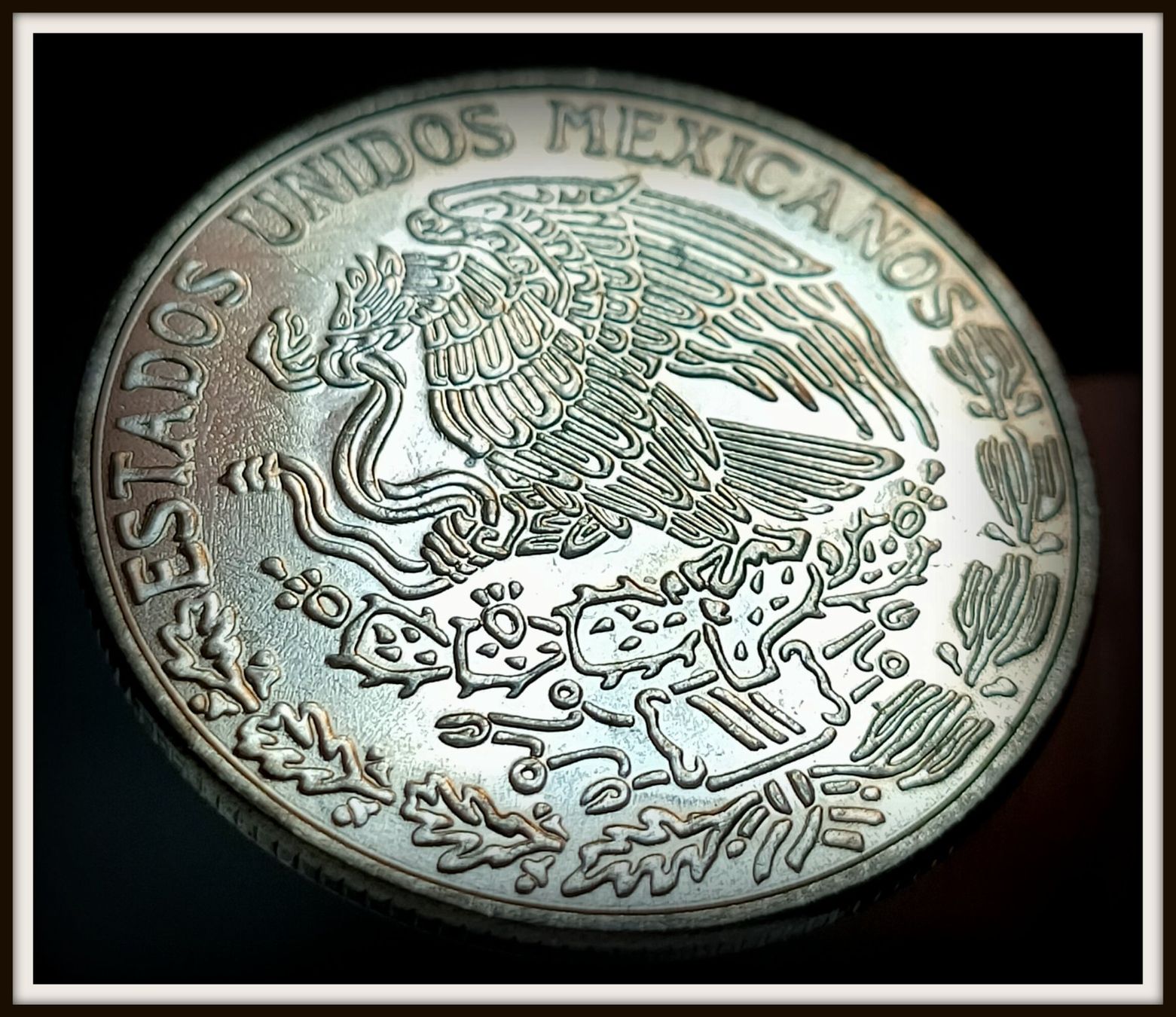 Tutti le monete: MEXICO 1 PESO 1981 UNZ. – Nuovo (secondo la descrizione) da winterthur venduto da CoinPassion 1