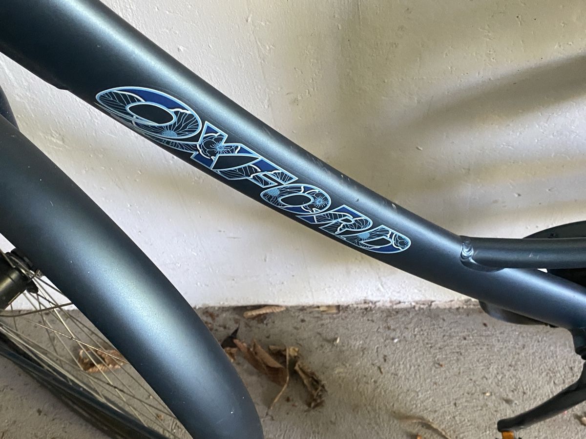 Biciclette: Damenfahrrad – Usato da Reinach BL venduto da stutkir 1