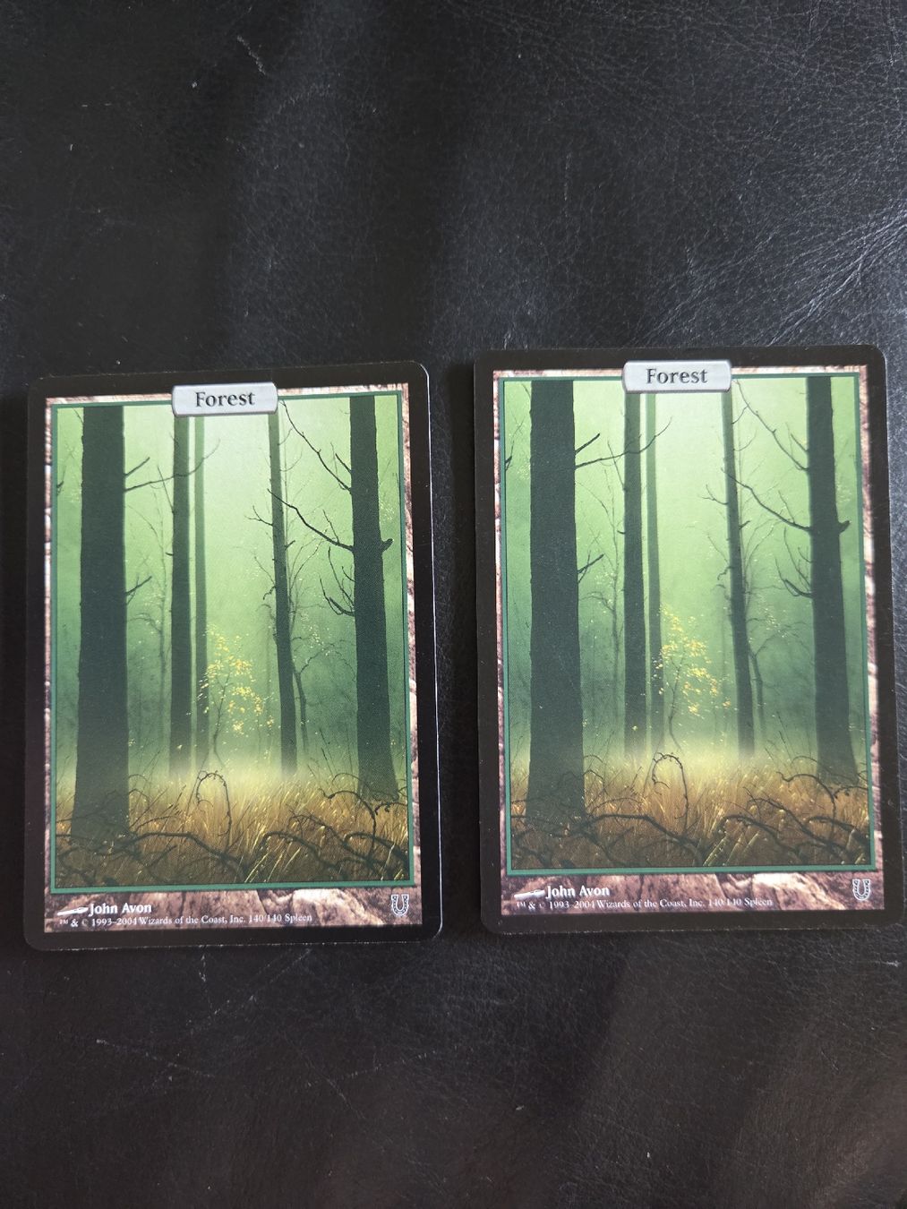 Magic The Gathering Cartes à collectionner: 2x Forest, Full Art, Unhinged – D'occasion à Riehen par str_2msn