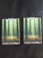 2x Forest, Full Art, Unhinged