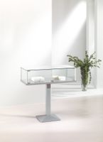 Glasvitrine Theke, ESG Glas, Silber (B.101cmxT.51cmxH.100cm)