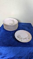 Langenthal Speiseteller 12er Set flach Blumen Ø 24cm
