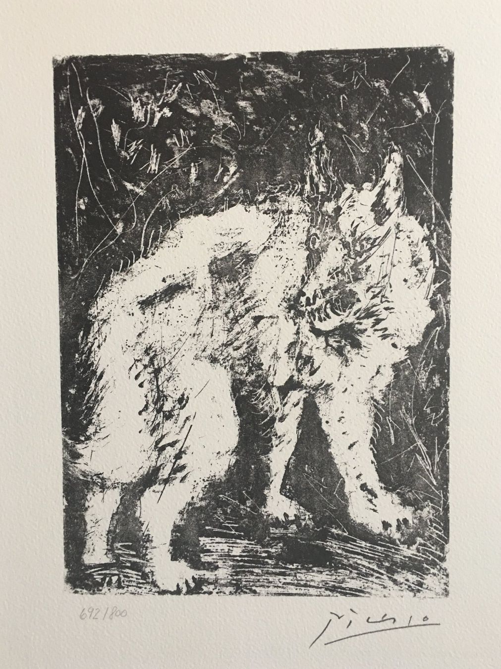 Grafiken & Lithographien: Pablo Picasso     Buffon     "Le Loup" – Gebraucht aus Nennigkofen von Sommersonnen 3