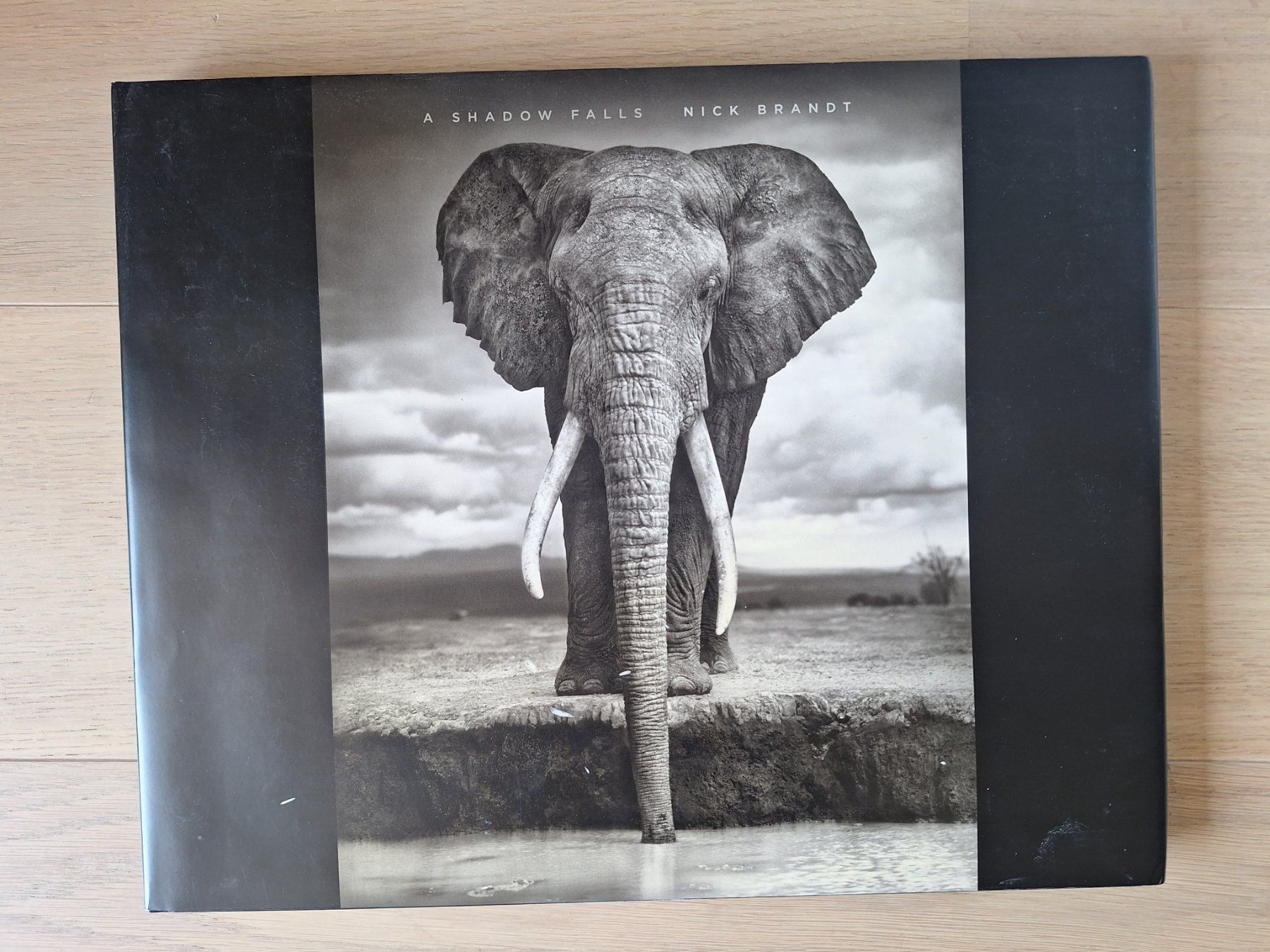 Libri: Nick Brandt : A Shadow Falls – Usato da Chardonne venduto da tonkun