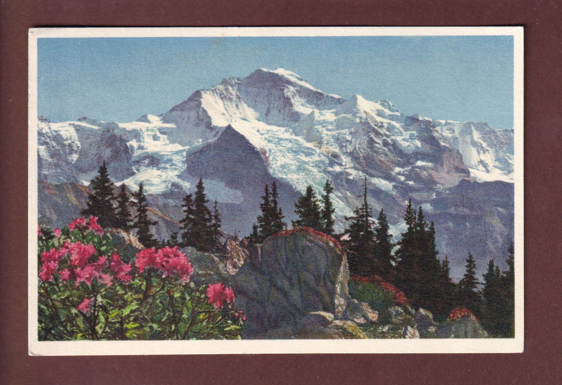 Cartoline postali: JUNGFRAU - 1956 – Usato da Pully venduto da nicecards