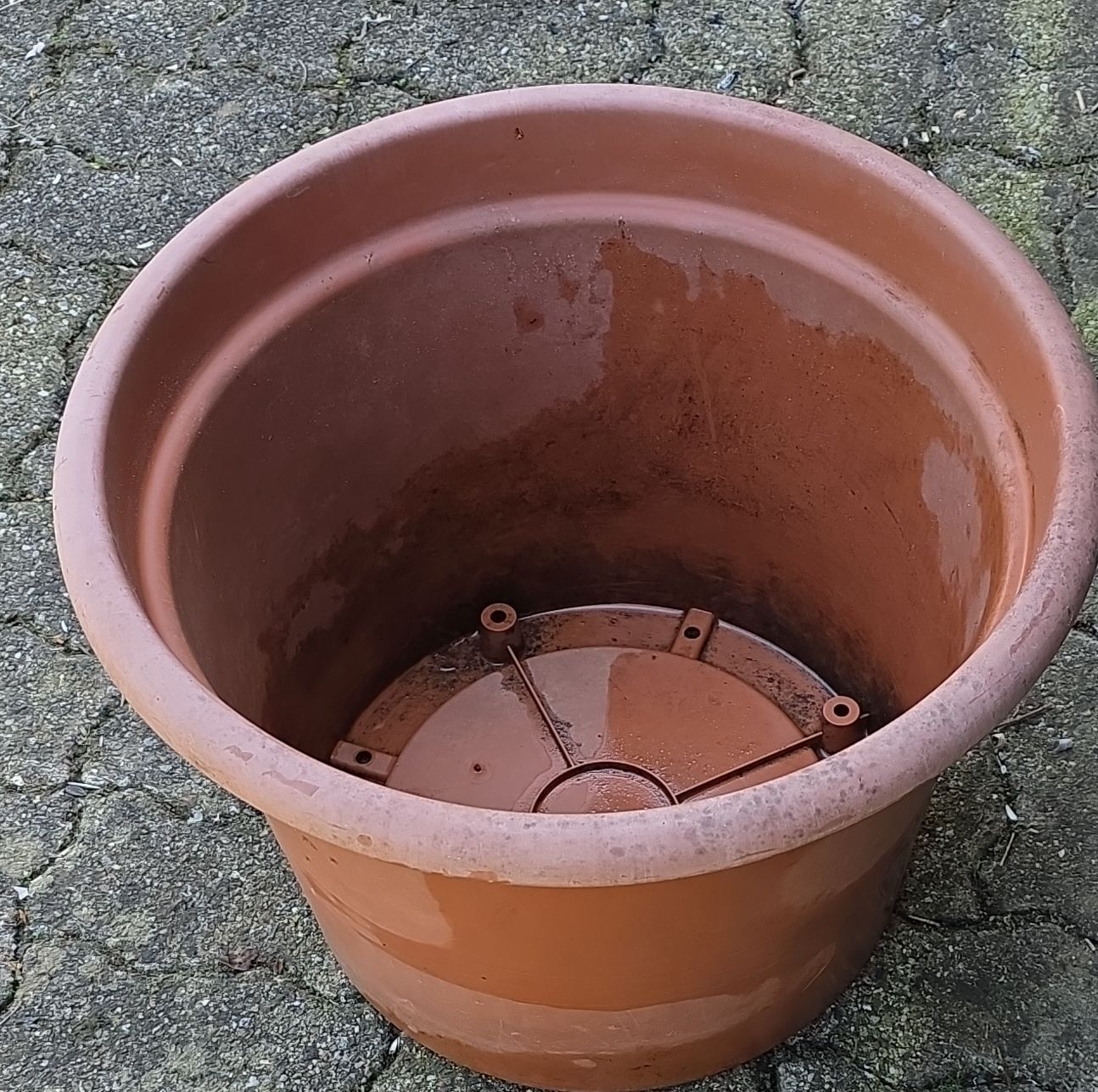 Vasi per fiori: Large Brown Plastic Plant Pot. – Usato da Hinwil venduto da Ehretstock8