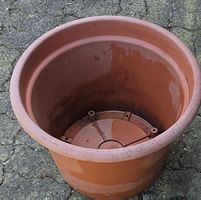 Large Brown Plastic Plant Pot.