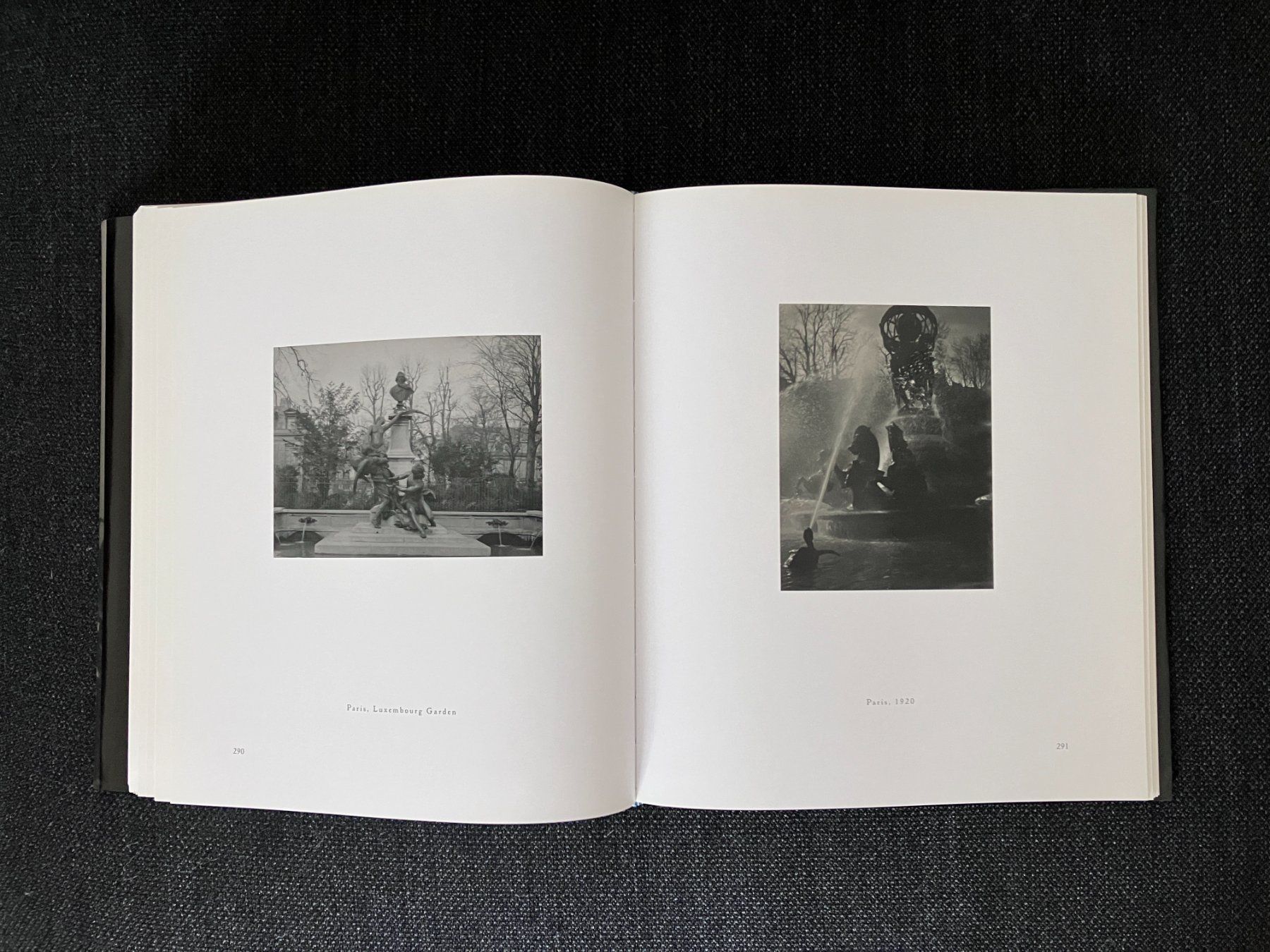 Libri: Man Ray - Trees, Flowers, Insects, Animals – Usato da Adliswil venduto da lauryyrual 2