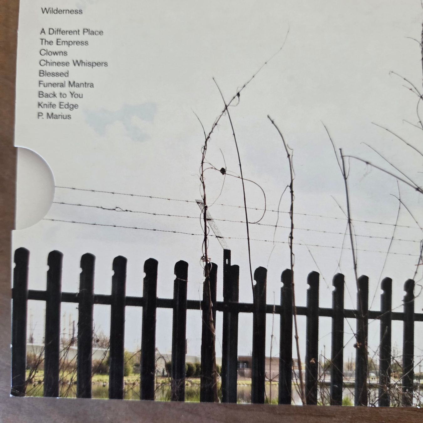 CD: Brett Anderson (Suede) - Wilderness - CD – Usato da Olten venduto da clayrout 1