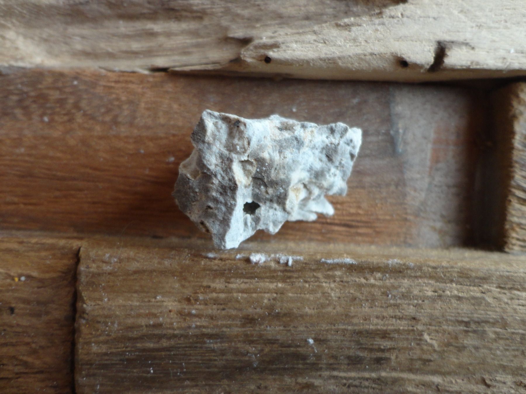 Mineralien & Heilsteine: Pseudobrookit – Neu (gemäss Beschreibung) aus Biberist von Steine 1