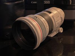 Canon EF 300mm 1:2.8 L IS USM