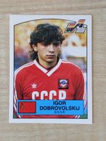 Panini Euro 1988 Einzelsticker Nr. 256