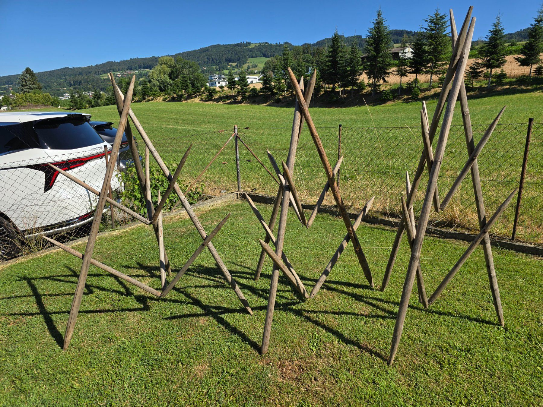 Altro in Utensili da giardino: 1 Set a 3 Stück Heu Heinzen – Usato da Rorschacherberg venduto da Scharfeegge 3