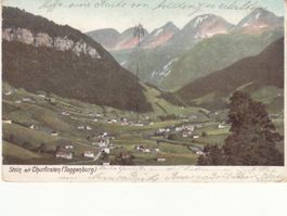 Stein 1904