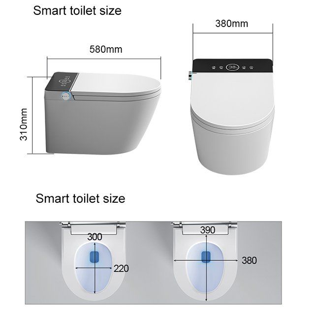WC: Dusch WC mit vielen Funktionen inkl Wassertank – Nuovo (secondo la descrizione) da Saules BE venduto da zemco 5