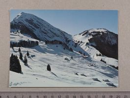 Diemtigtal, Wiriehorn, Ski, Skigebiet, Berghaus Nuegg
