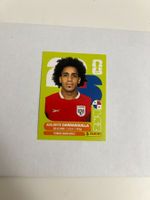 Panini FIFA World Cup 2026 - PAN 12
