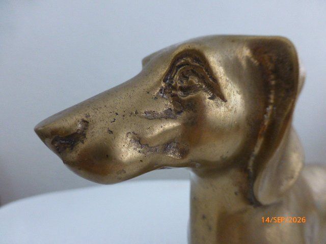 Sculture & Statue: Herziger Dackel aus Bronze. – Usato da Pratteln venduto da Emperial 7