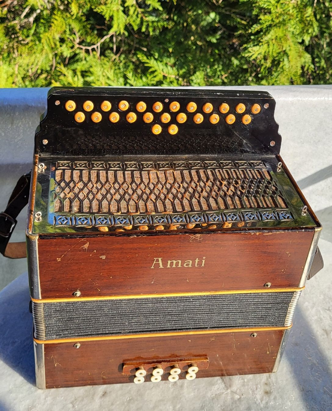 Strumenti musicali: Accordéon hohner Amati 3 voix – Usato da Penthalaz venduto da EvandroLuz