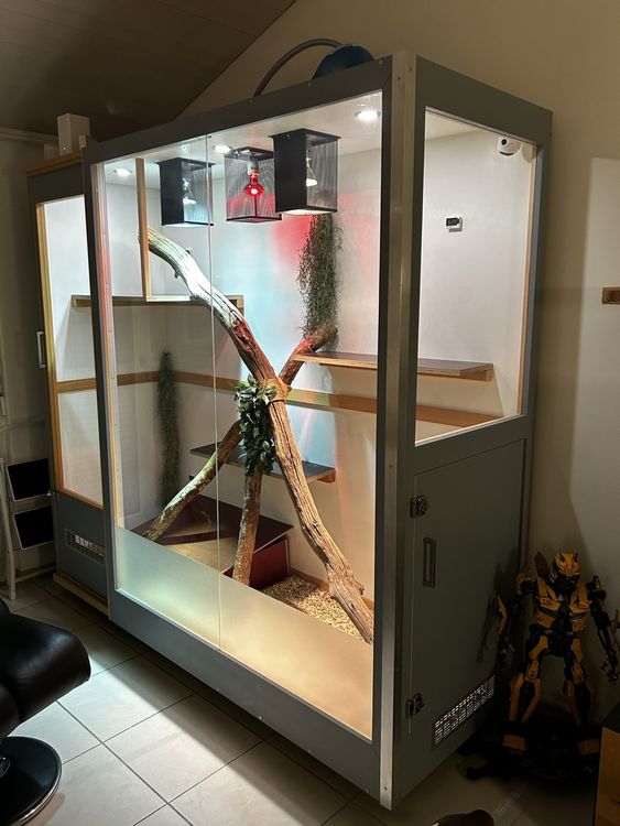 XXL Terrarium inkl. Elektronik Kaufen auf Ricardo