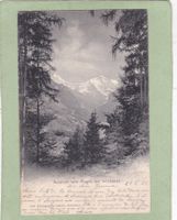 Aussicht vom Rugen bei Interlaken 1901