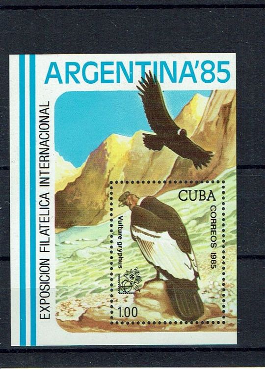 Cuba 1985 - Oiseau, Condor des Andes 1