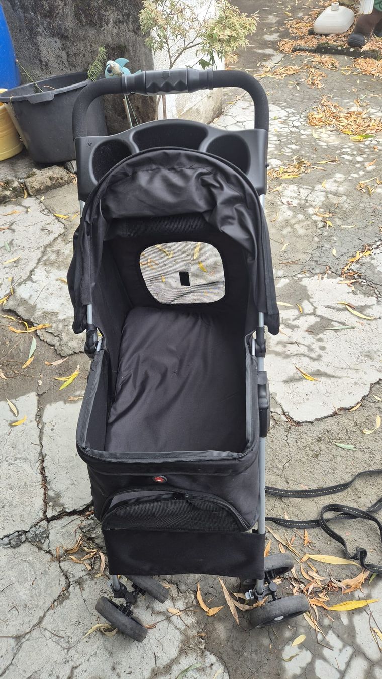 Carrozzine: Poussette pour chien  – Nuovo (secondo la descrizione) da  venduto da  1