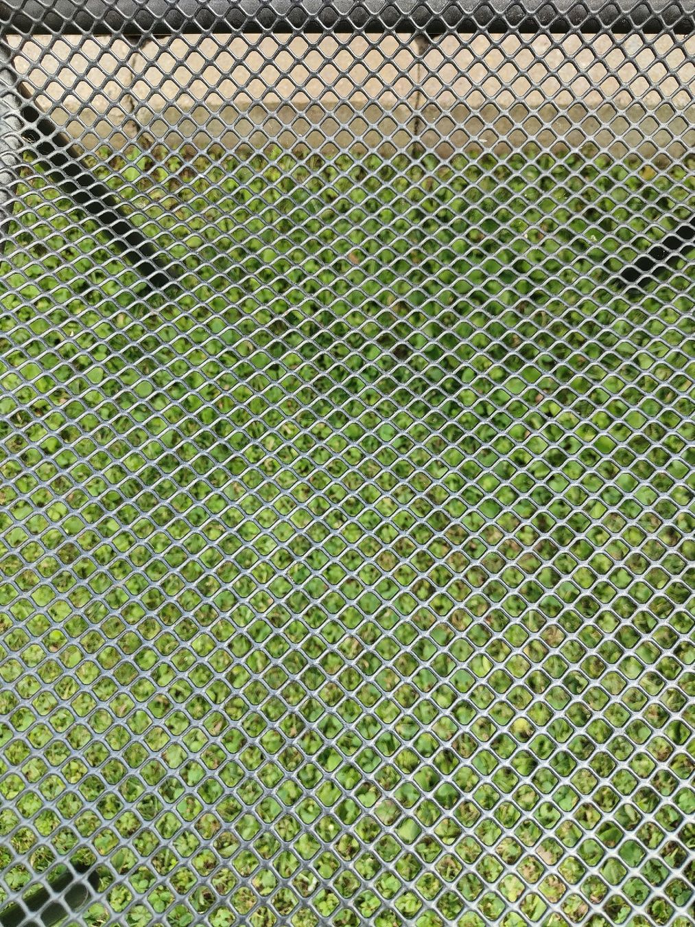Sedie: Gartenstühle Metall Holz 4 Stk  – Usato da Lachen SZ venduto da jimmygoal13 3